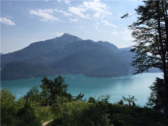 余教授奧地利鄉村行：萬(wàn)科為什么說(shuō)把奧地利小鎮搬回來(lái)？