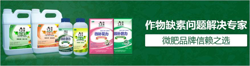 #微肥課堂#為什么葉面肥養分含量相同，效果卻不同？