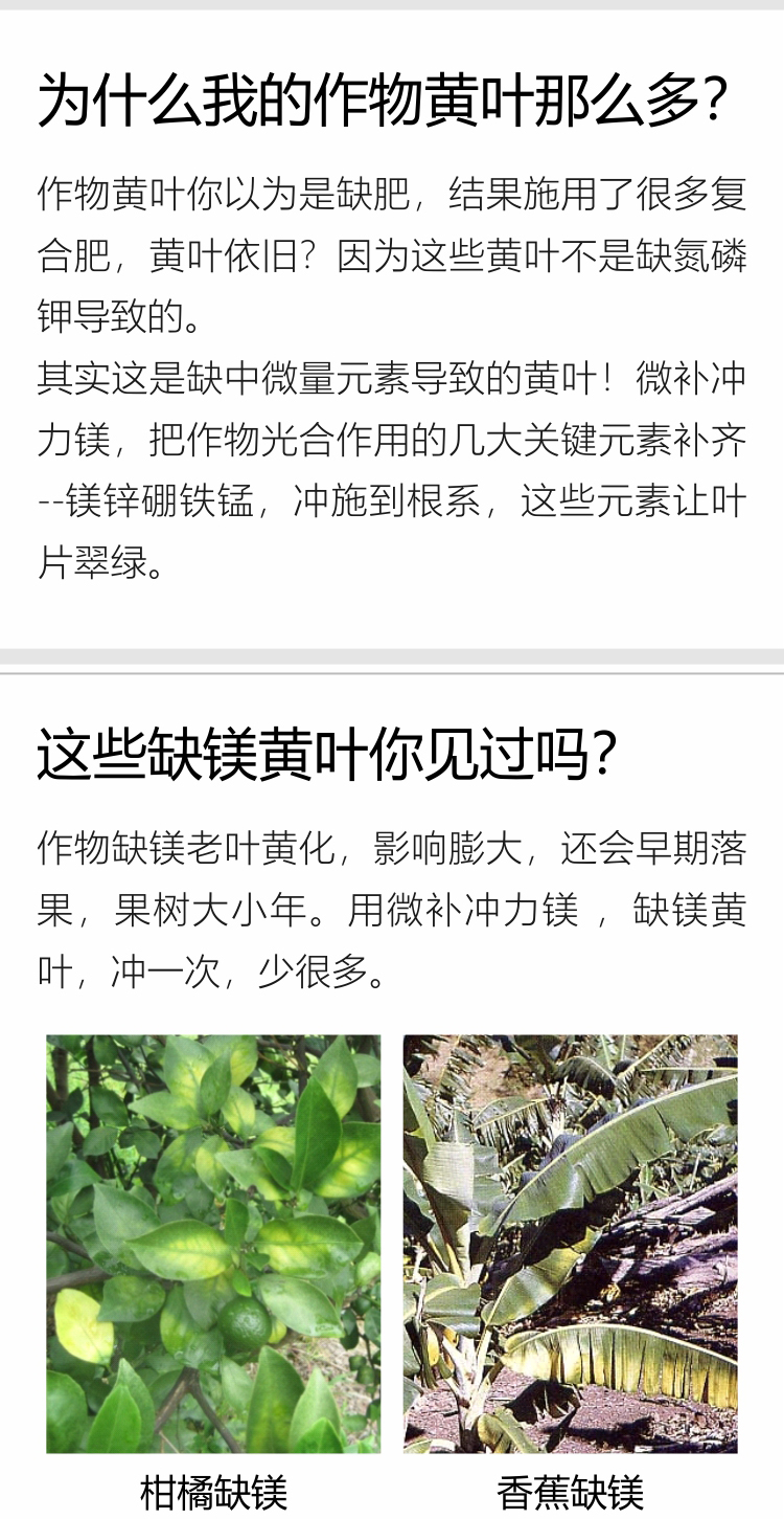 微補沖力鎂1_02.jpg