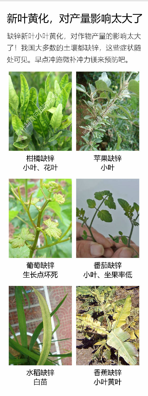 微補沖力鎂1_04.jpg