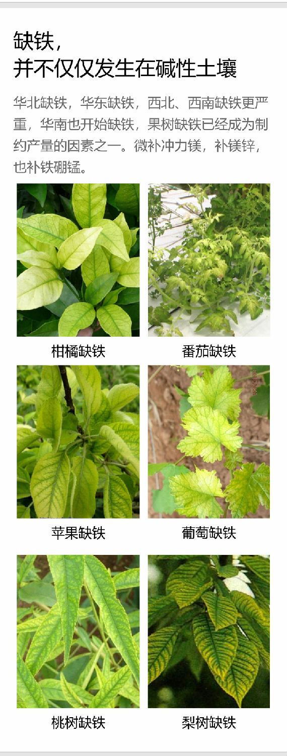 微補沖力鎂1_05.jpg