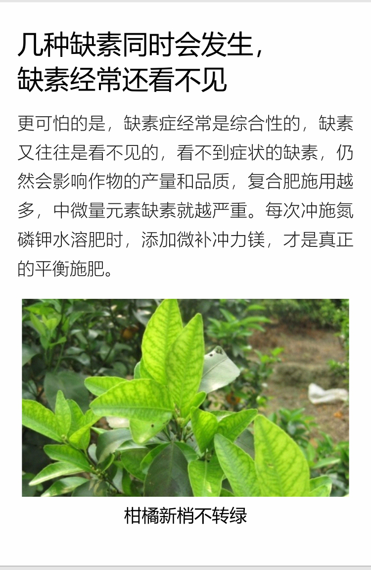 微補沖力鎂1_06.jpg