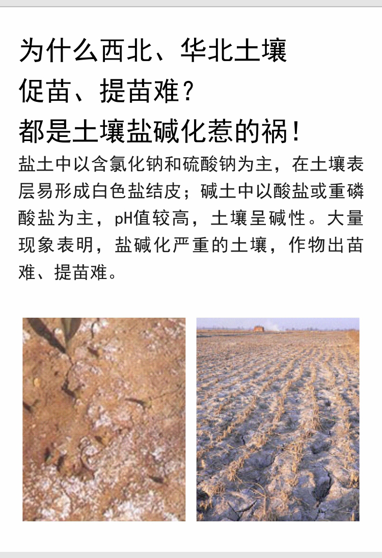 因迪樂(lè )有機鹽堿土調理水溶肥_02.jpg