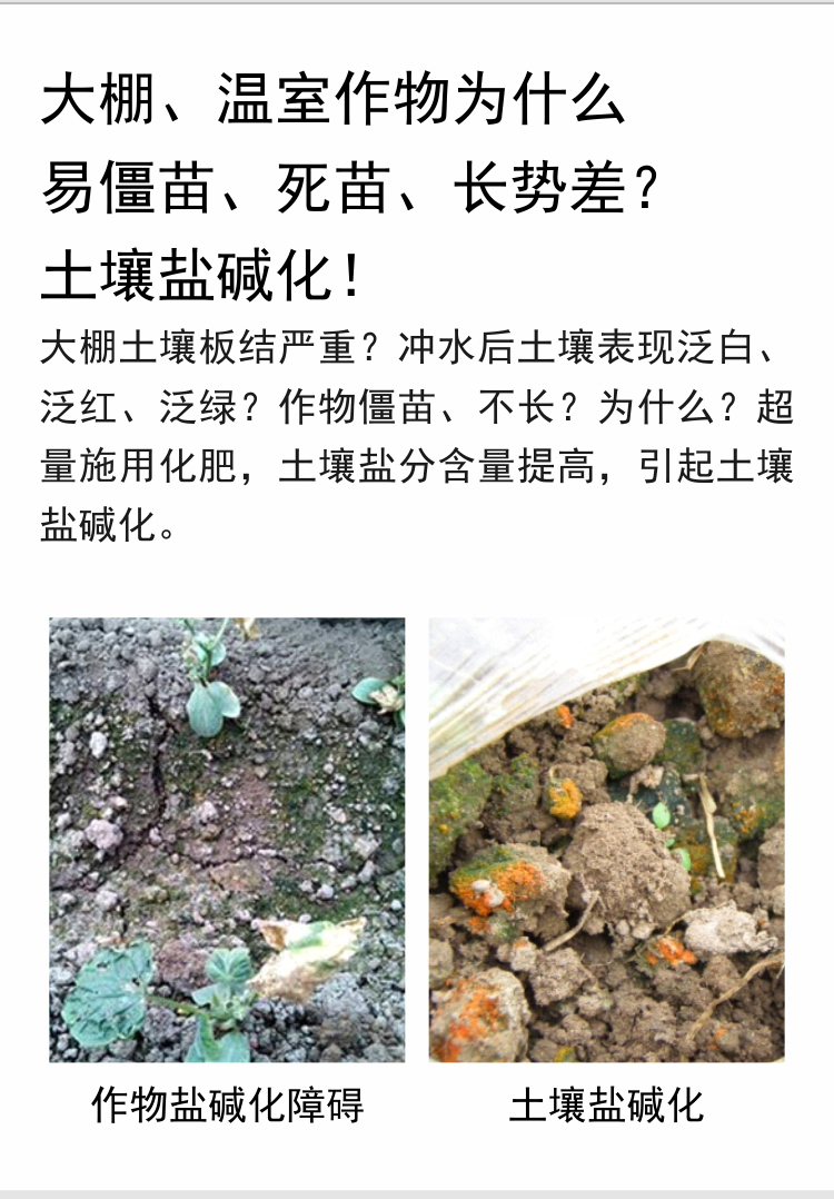 因迪樂(lè )有機鹽堿土調理水溶肥_03.jpg