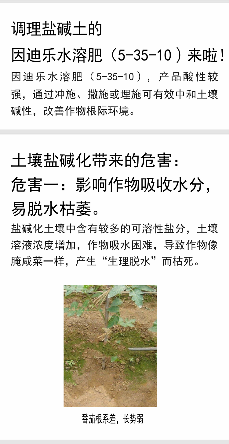 因迪樂(lè )有機鹽堿土調理水溶肥_04.jpg