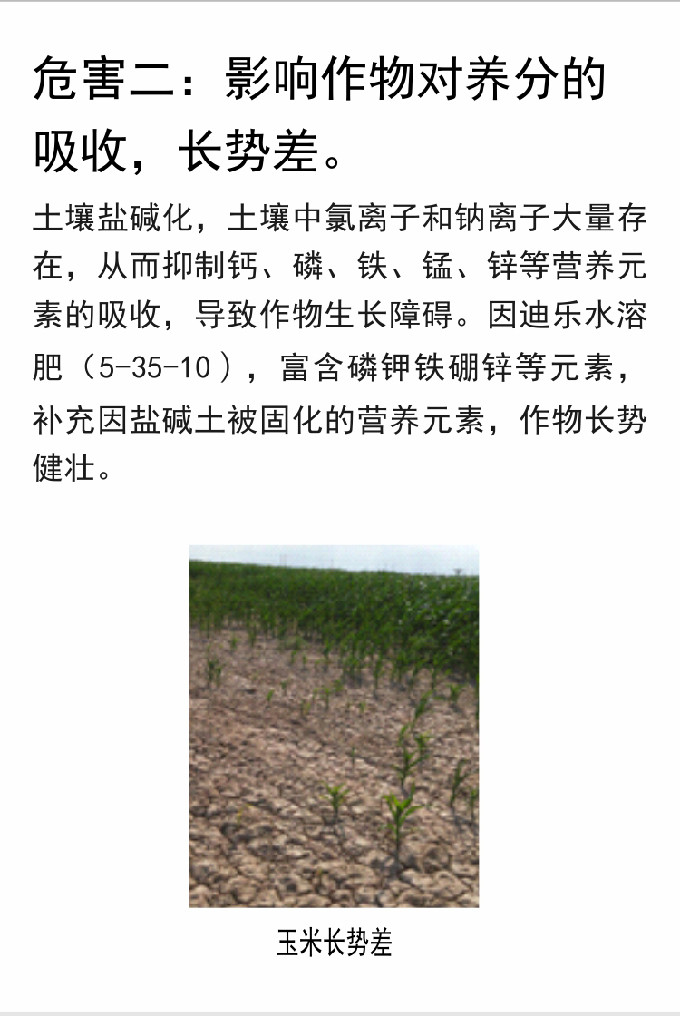 因迪樂(lè )有機鹽堿土調理水溶肥_05.jpg