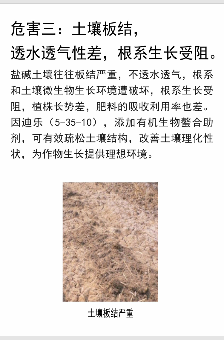 因迪樂(lè )有機鹽堿土調理水溶肥_06.jpg