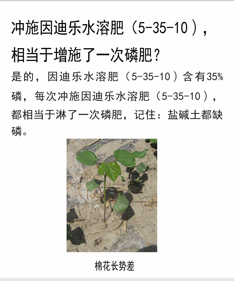 因迪樂(lè )有機鹽堿土調理水溶肥_07.jpg