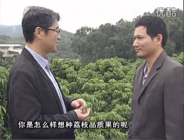20160104珠江臺搖錢(qián)樹(shù)：補充所需微補營(yíng)養，種出品質(zhì)荔枝，提高收益賣(mài)價(jià)！