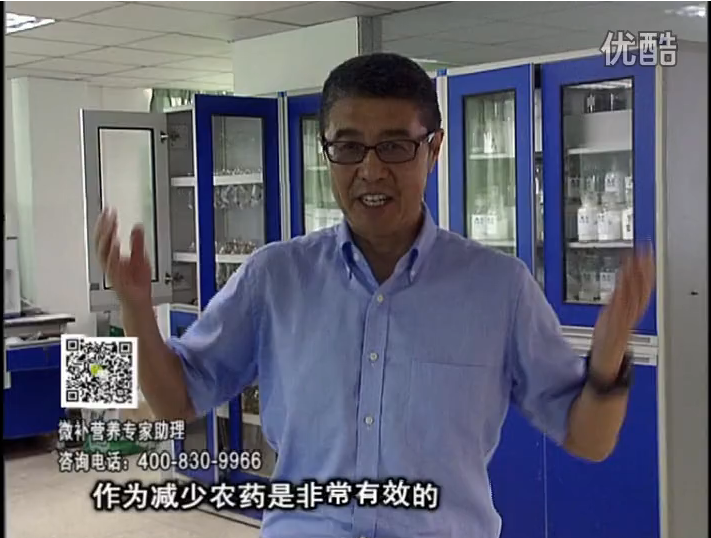 20161024珠江臺搖錢(qián)樹(shù)：種植作物調酸、平衡營(yíng)養、提高抗病力能大大降低病害發(fā)生和農藥使用量