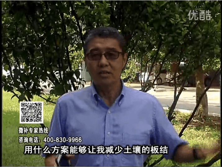 20161031珠江臺搖錢(qián)樹(shù)：減少化肥使用量、土壤少板結有辦法