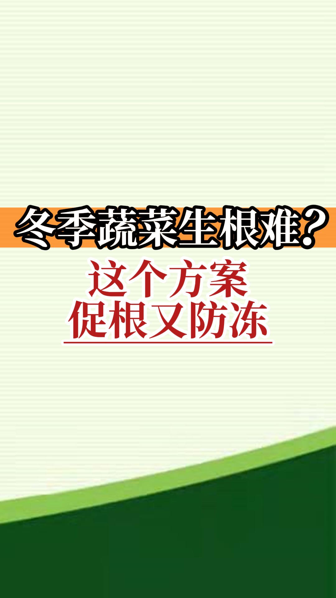 冬季蔬菜生根難？這個(gè)方案促根又防凍