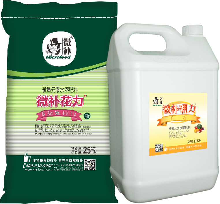 圖片4