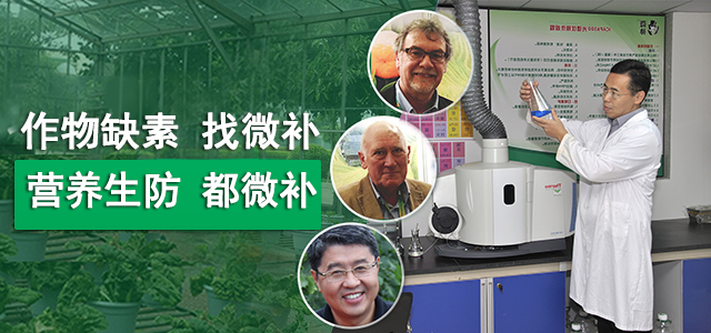 作物缺素找微補(bǔ)營(yíng)養(yǎng)生防都微補(bǔ)