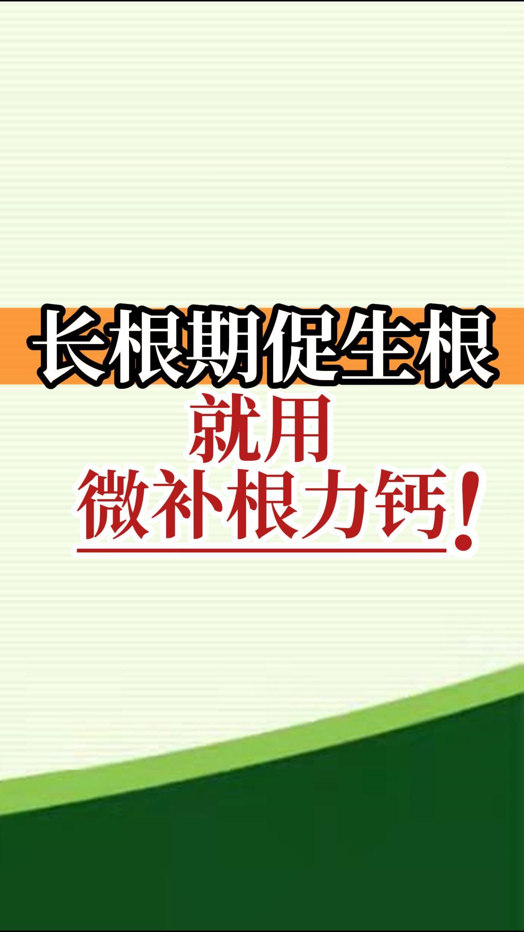 長(cháng)根期促生根就用微補根力鈣！