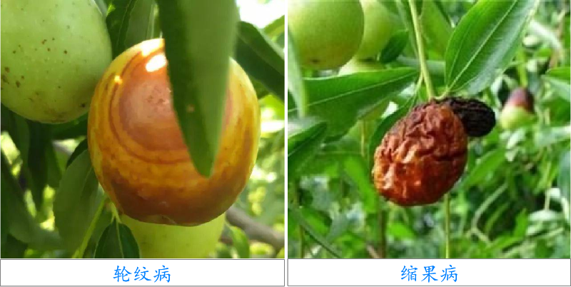 圖片3