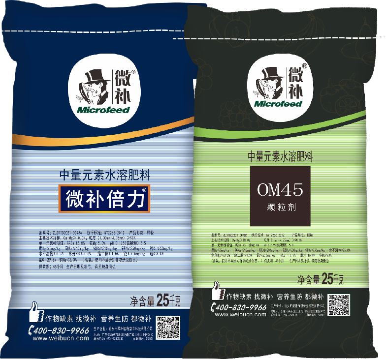 圖片4