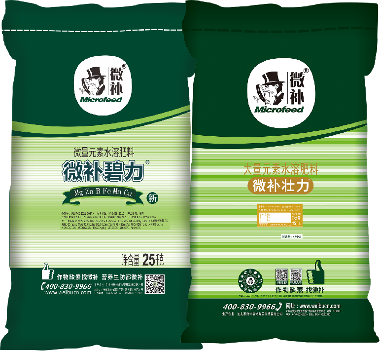 圖片5