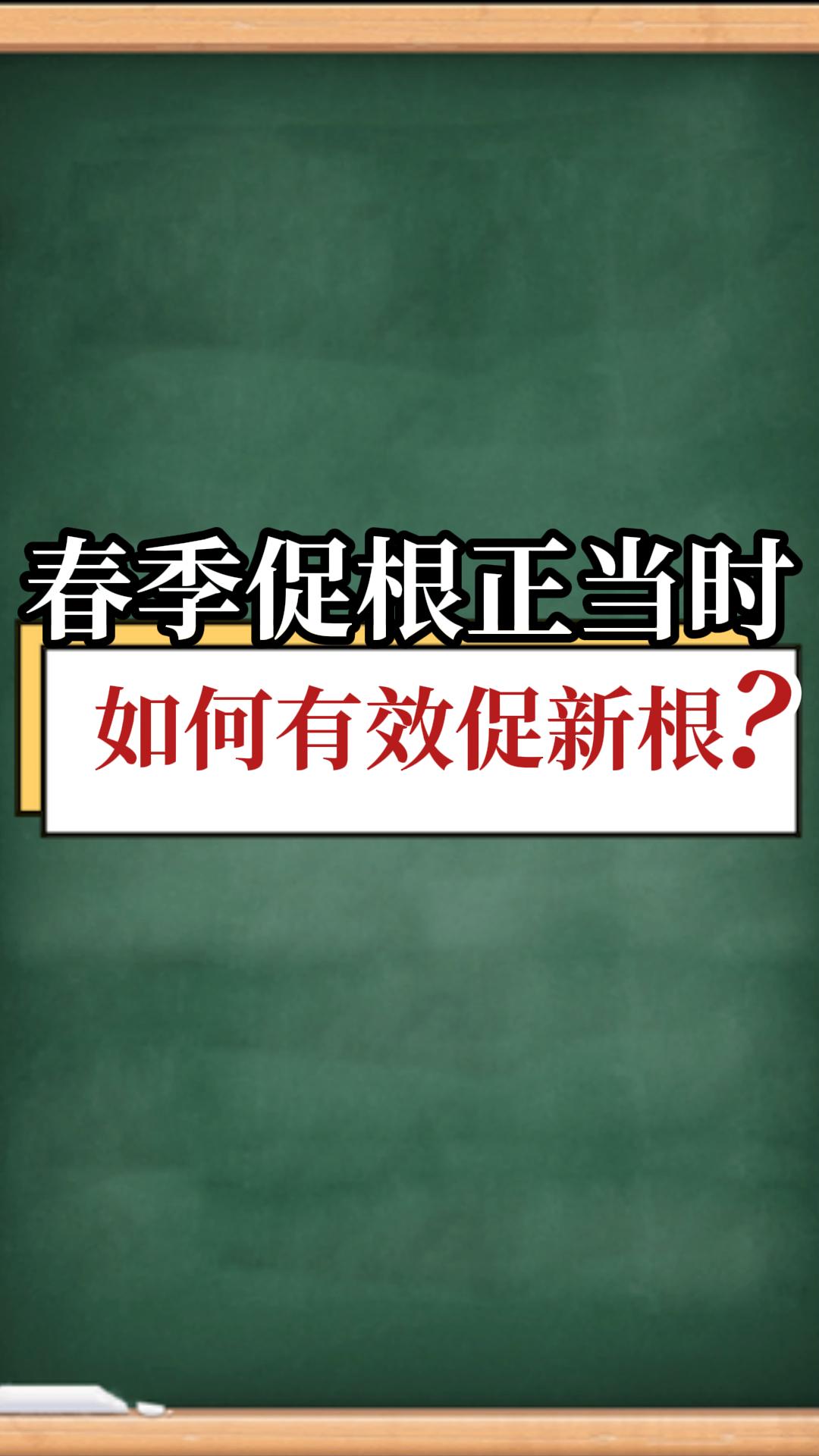 如何有效促新根？