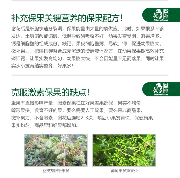 微補果力