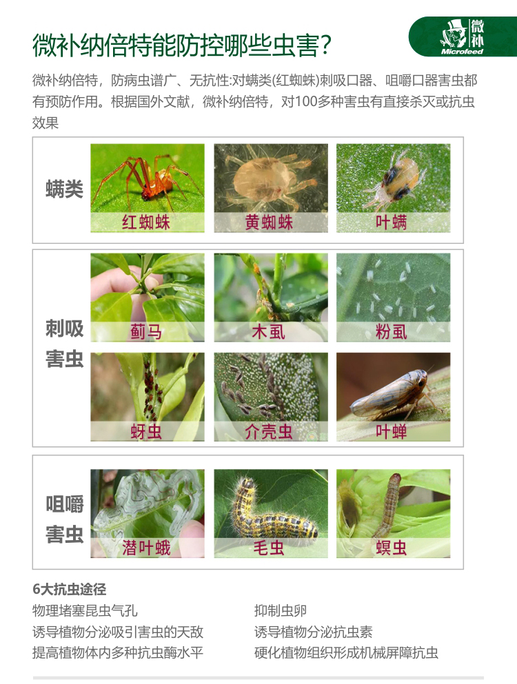 微補納倍特