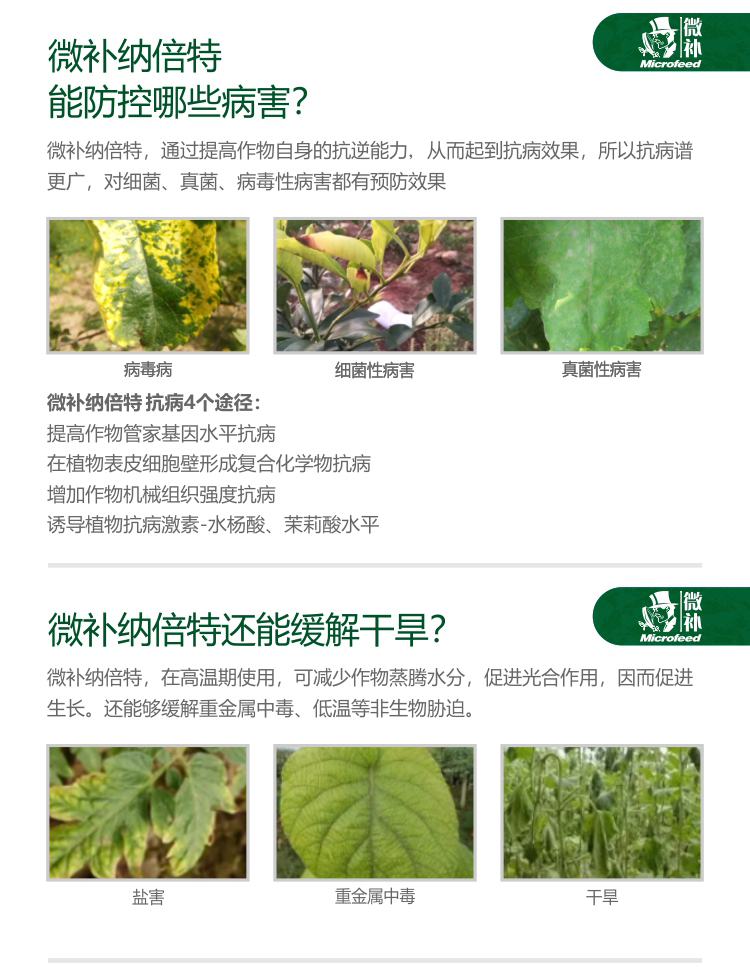 微補納倍特