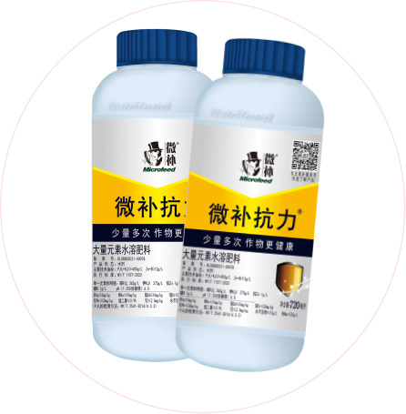 如何做好冬季清園，減少來(lái)年病蟲(chóng)害影響