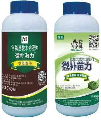 讓作物安全過(guò)冬的實(shí)用小妙招，速看