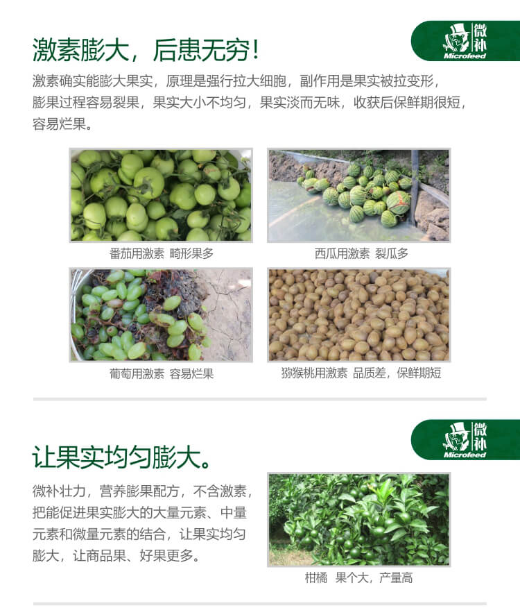 微補壯力