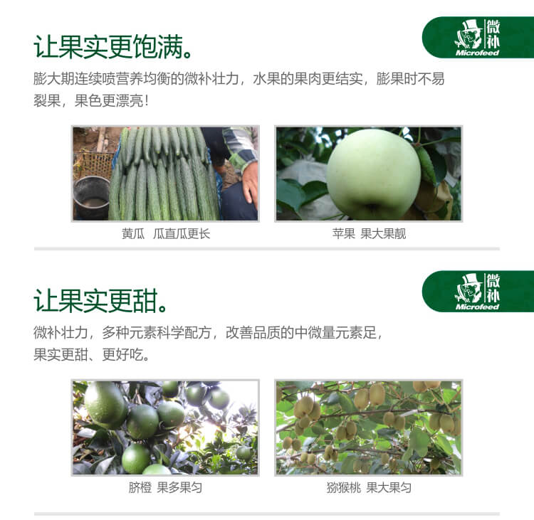 微補壯力