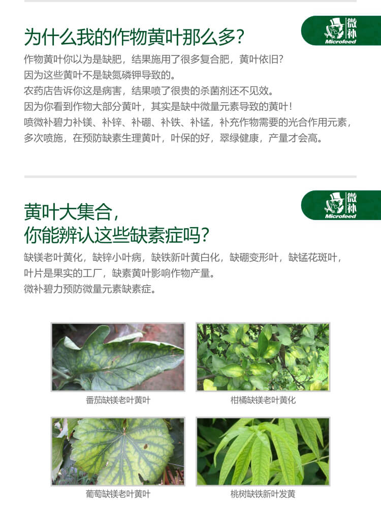 微補碧力