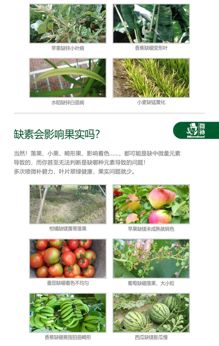 微補碧力