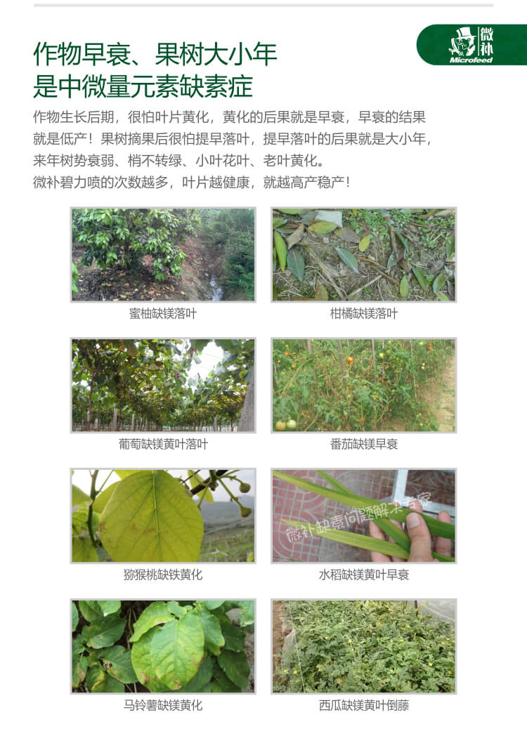 微補碧力
