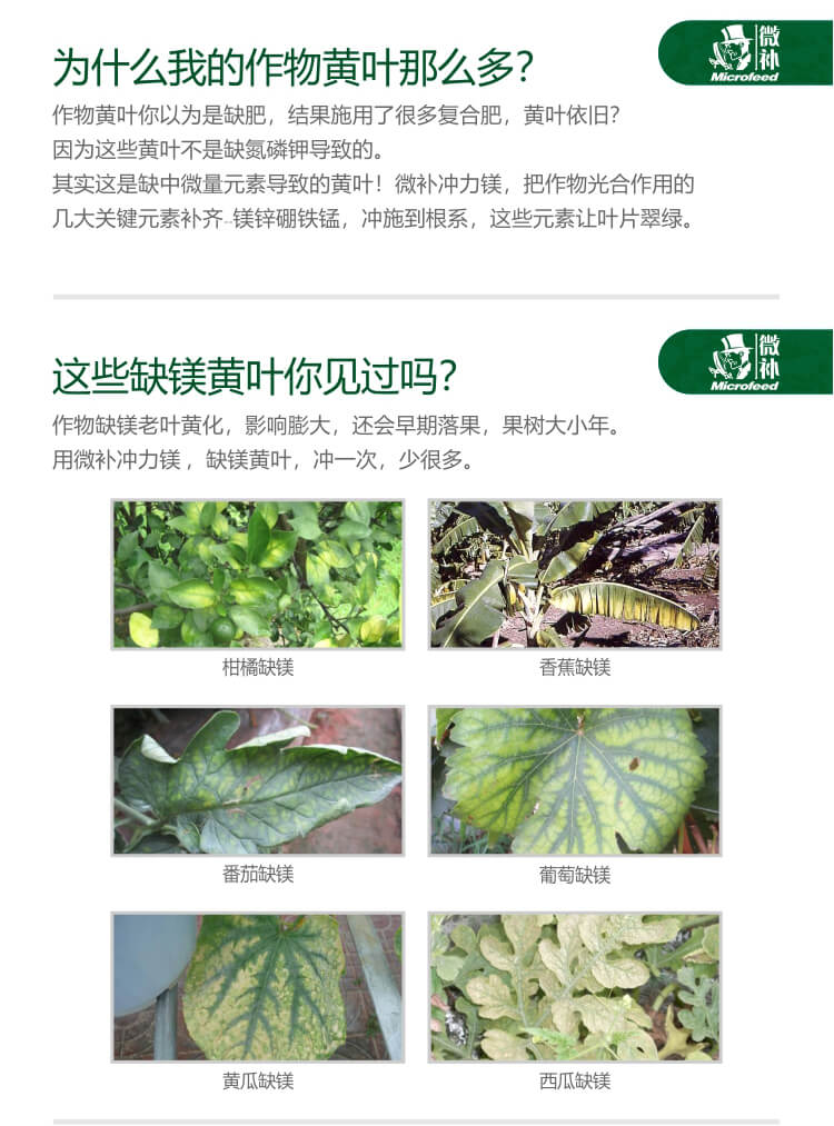 微補沖力鎂