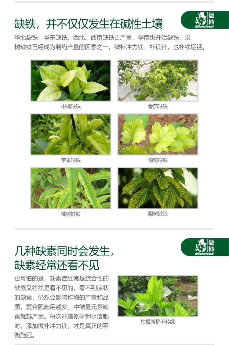 微補沖力鎂