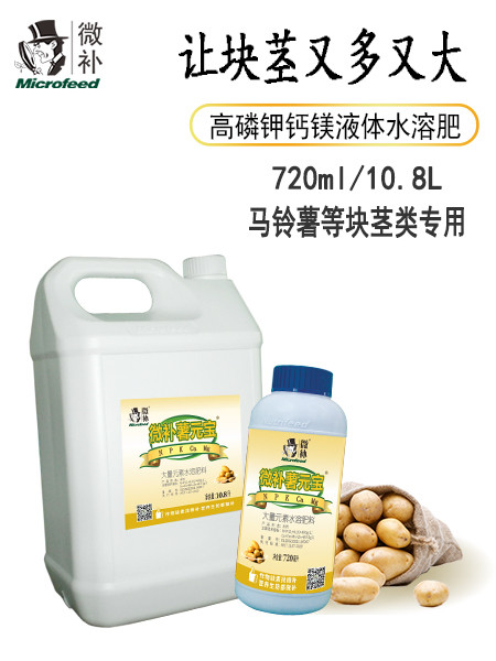 微補薯元寶
