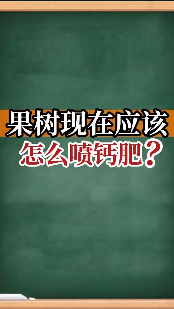 果樹(shù)現在應該怎么噴鈣肥？