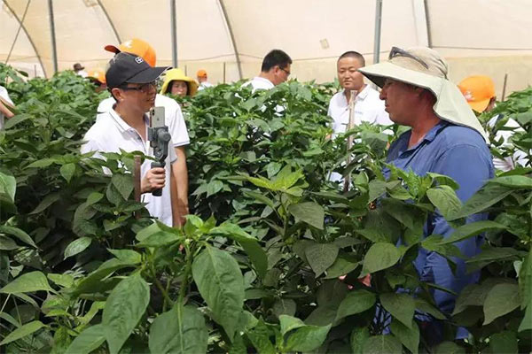 深度思考：我們到底應該向以色列農業(yè)學(xué)習什么？